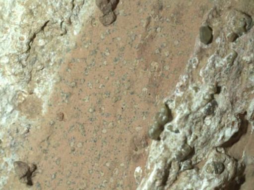 NASA's Perseverance rover has discovered microbial life on Mars