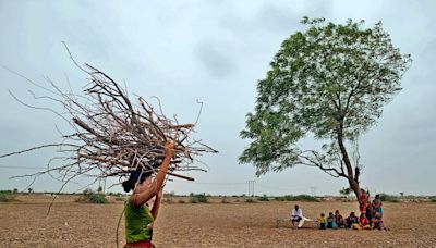 Mint Primer: Ever seen the rain? The price of a truant monsoon