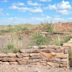 Petrified Forest National Park