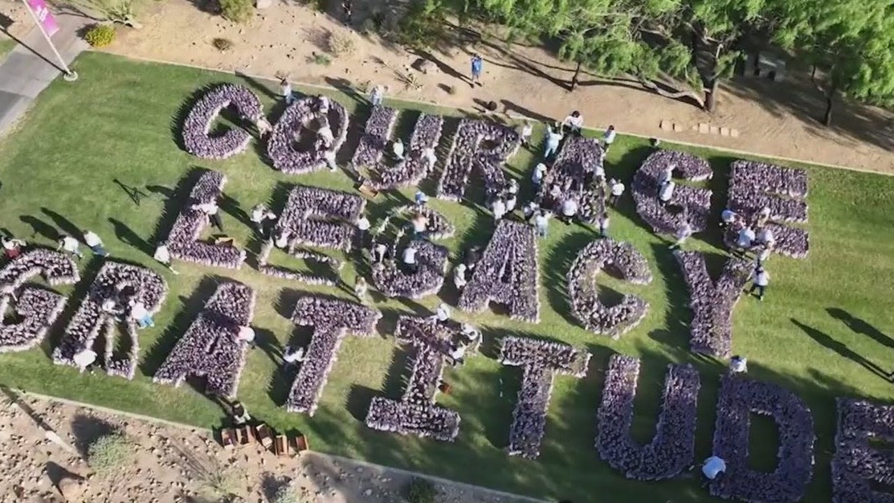 Thousands of flags arranged on university campus to honor fallen military members