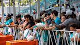 Are you planning on watching a Dolphins training camp practice? What you need to know