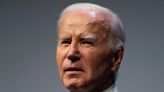 Democratic Party committee meets to discuss virtual vote process to nominate Biden