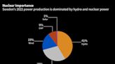 Swedish Nationalists Mull New Nuclear Firm to Rival Vattenfall