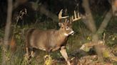 Pennsylvania Game Commission plans to reduce hunting license wait times