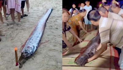 又有大災難？越南海岸驚見「4.5m地震魚」 當地人急做法祈福