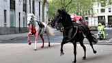 Video: sorpresa en el centro de Londres por caballos sueltos