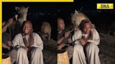 Viral video: Man and woman risk their lives feeding hungry pack of hyenas, watch