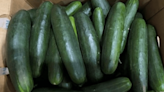 Cucumber recall in 14 states, including Ohio