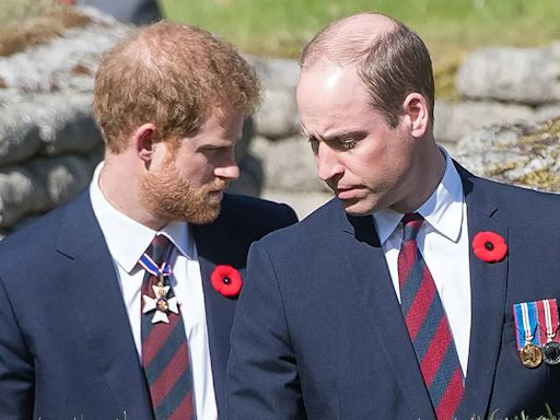 Prince William 'disgruntled' over Prince Harry's $8.5M inheritance payday on 40th birthday: expert