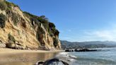 Gray whale dies after it washed ashore Malibu beach: Experts hope to figure out why