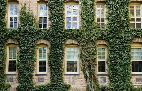 These universities may be the 'new ivy' league schools, Forbes says, and several are in the Midwest