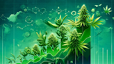 Weed Potency Has Increased Dramatically Over Last Several Decades, How High Can THC Limits Go?