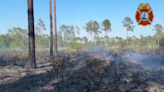 Tampa Fire Rescue extinguishes ‘small’ brush fire in Flatwoods Park