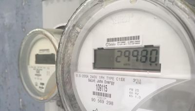 Large price hikes requested by N.B. Power to get long-delayed review