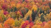 2023 fall foliage: When is the best time to find peak color in New England?