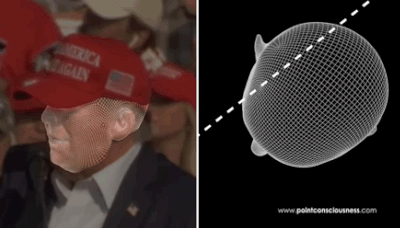 This 3D model shows just how close Trump was to being assassinated