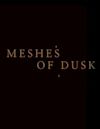 Meshes of Dusk