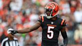 Tee Higgins ruled out for Bengals ahead of Week 12 game vs. Steelers