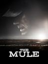 The Mule (2018 film)