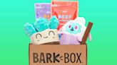 'My dog goes nuts over these': Amazon is having a one-day sale on BarkBox — it's 50% off