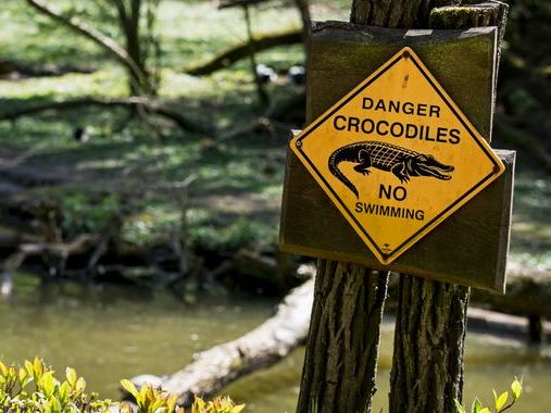 Crocodile attack: Remains found of 12-year-old girl attacked while swimming in remote Australian creek