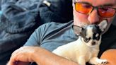 Simon Cowell adopts another puppy