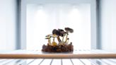 Scientists to examine how mushrooms become magic