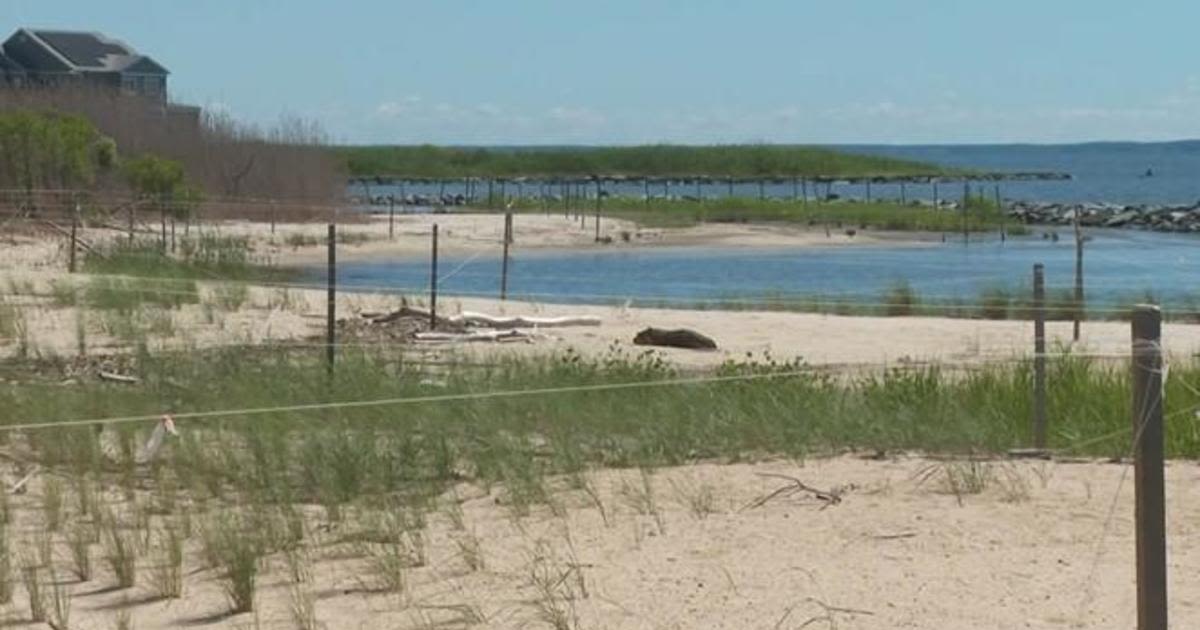 Newly completed living shoreline will help preserve shrinking shoreline at Franklin Point State Park