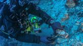 Asombroso hallazgo: encuentran la cabeza de Hércules y dos dientes humanos en el fondo del mar Egeo