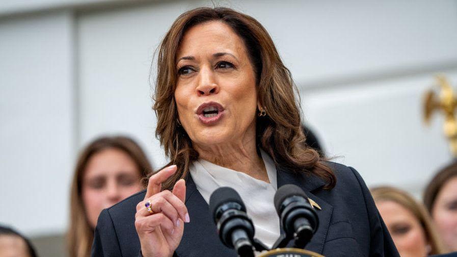 Kamala Harris attacks Trump over 'fear and hate' at first rally