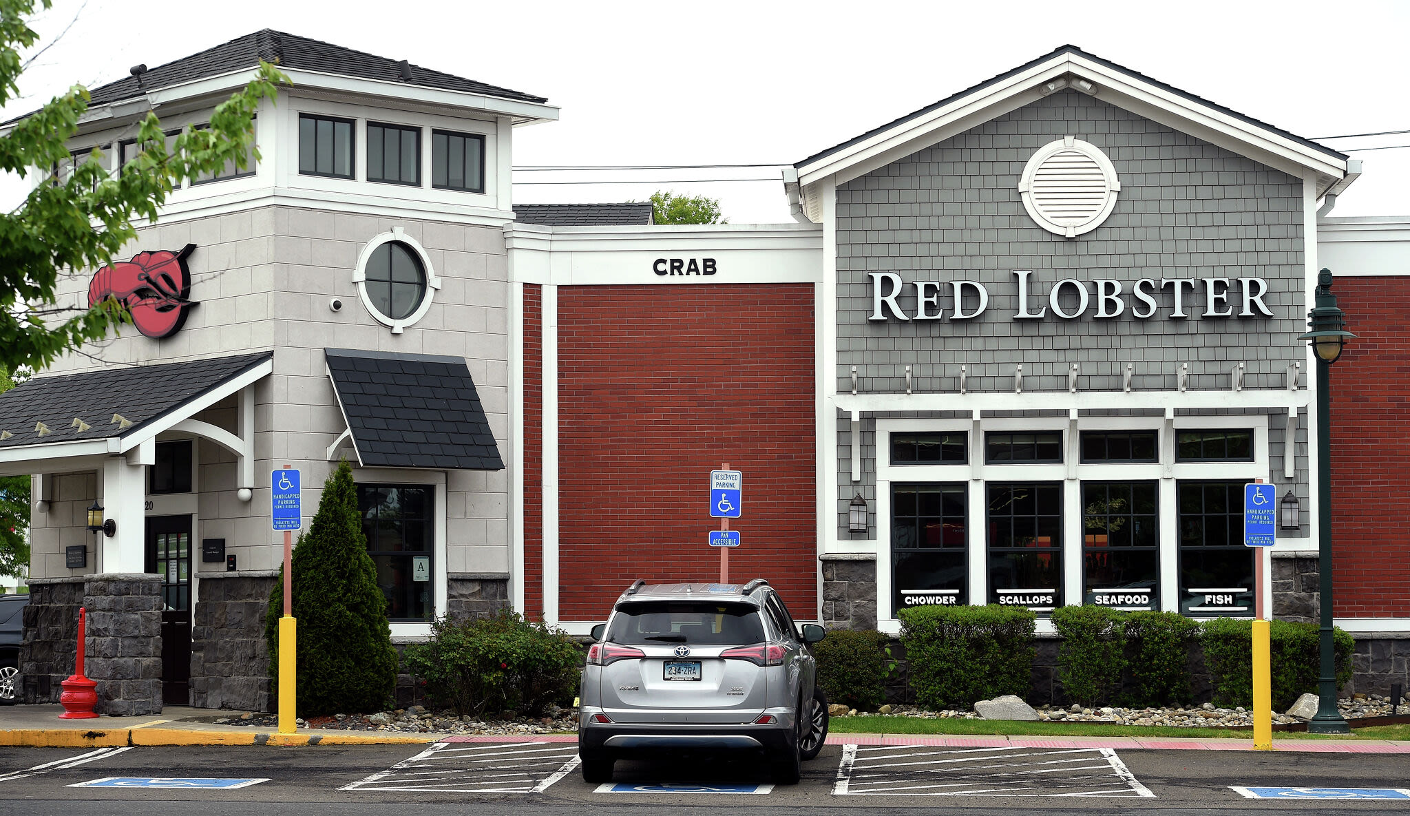 Blaming 'endless shrimp' promotion and costs, Red Lobster files for bankruptcy. Here's what it means in CT.