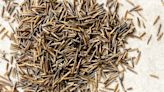 How Wild Rice Forecasts Climate Change