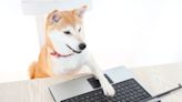 Shiba Inu-Themed BONK Tokens Are Yielding Nearly 1,000% for Solana Liquidity Providers