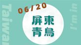 屏東青鳥街公民短講 青鳥勝利 勝利青鳥