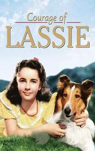 Courage of Lassie