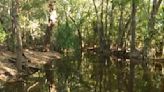 Australian rangers shoot 14ft crocodile that killed girl swimming in creek