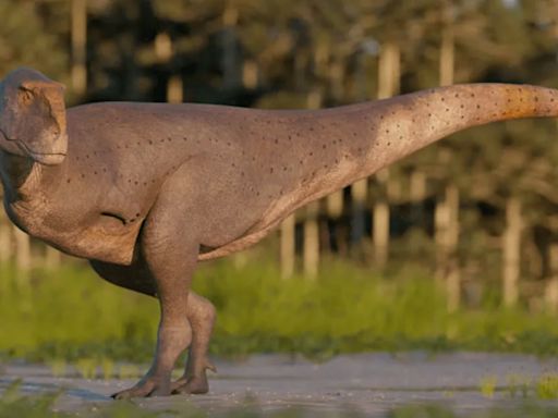 El dinosaurio Keloken: nuevas especies de dinosaurios carnívoros fueron halladas en Argentina | Sociedad