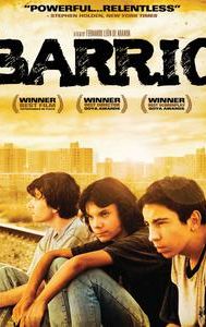 Barrio (film)