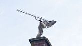 RSPCA issues litter warning after seagull gets tangled in fishing wire on TV aerial