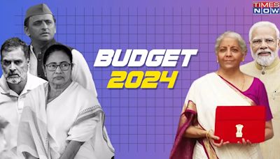 'Kursi Bachao Budget': Team I.N.D.I.A Mocks Modi 3.0 Budget