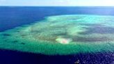 Filipinas acusó a China de destruir arrecifes de corales para construir una isla artificial dentro de su zona marítima