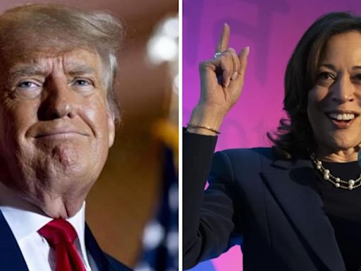 ‘Man-baby’ Donald Trump mocked for obsessing over Kamala Harris crowd sizes at rally; ‘he is so scared…’