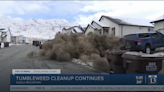 Tumbleweeds invade western towns, but you can profit off the pesky plants. Here’s how