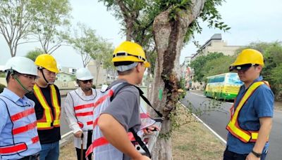 防樹木傾倒釀事故 嘉市建立資訊巡查系統管理