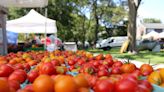 Want fresh produce and maybe live entertainment? Check out these Newport Co. farmers markets.