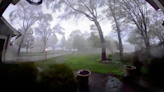 Doorbell video shows tornado leveling large trees in front of Portage home