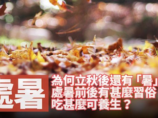 處暑2024｜為何立秋後還有「暑」？處暑前後有甚麼習俗？吃甚麼可養生？ | am730