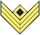 United States Army enlisted rank insignia 1851-1901