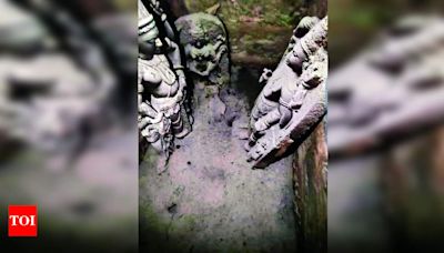 Underground chamber unearthed in Pandharpur | Pune News - Times of India