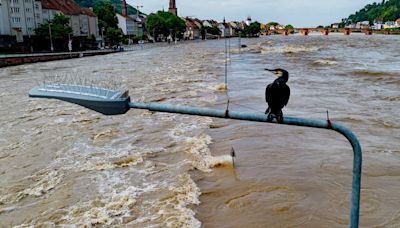 Cuatro muertes por las inundaciones en el sur de Alemania: “La situación es crítica y tensa”